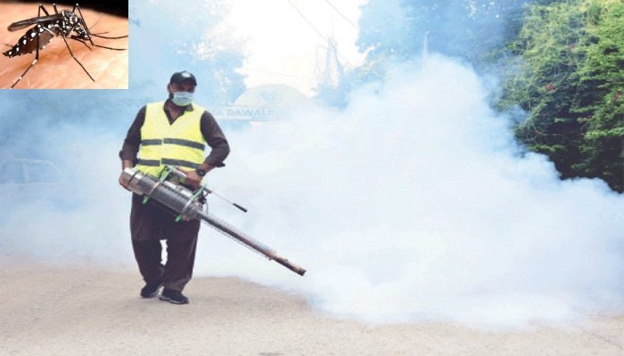 راولپنڈی: انسداد ڈینگی مہم، جعلی تصاویر بھیج کر حاضریاں لگانے والے 12 اہلکار اور سپروائزر برطرف