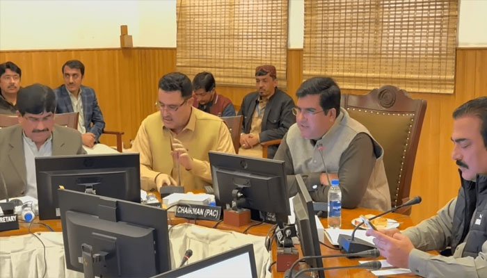 بلوچستان حکومت کا 12 سال سے ایک طیارہ غیر فعال ہے: پبلک اکاؤنٹس کمیٹی میں انکشاف