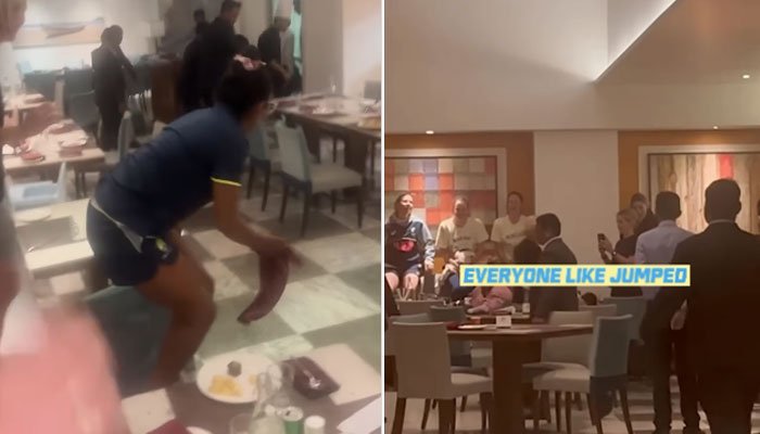 بھارت: آسٹریلوی ویمن ٹیم کے کھانے کے دوران چوہا نکل آیا، کھلاڑیوں کی دوڑیں لگ گئی