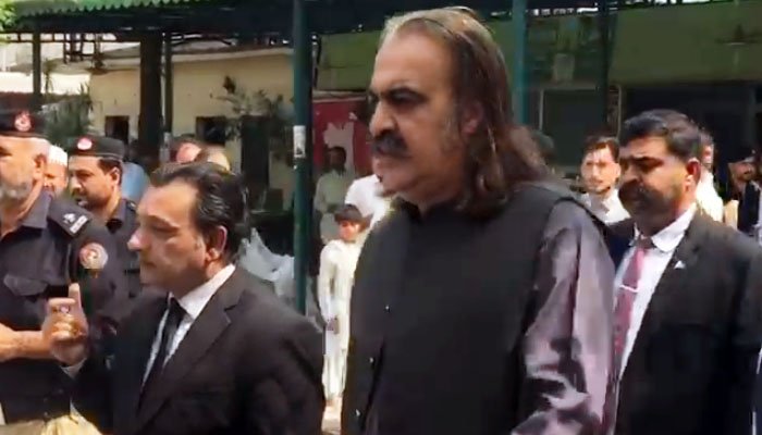 شراب و اسلحہ برآمدگی کیس میں علی امین کے وارنٹ برقرار