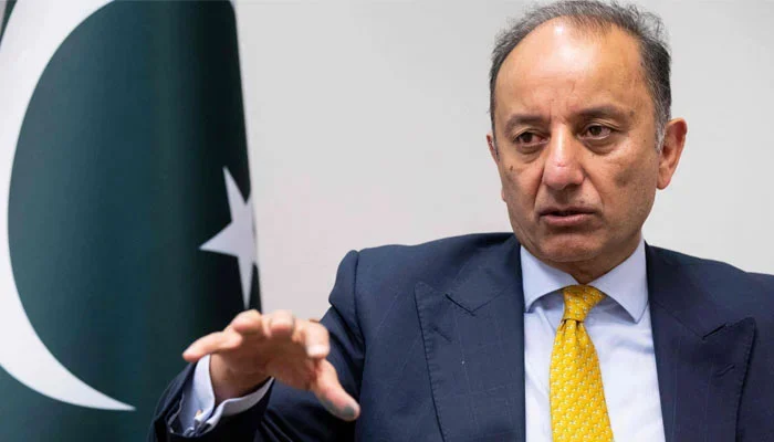 بھارت کبھی پانی روک کر اور کبھی چھوڑ کر دریاؤں میں سیلابی صورتحال پیدا کر رہا ہے: مصدق ملک